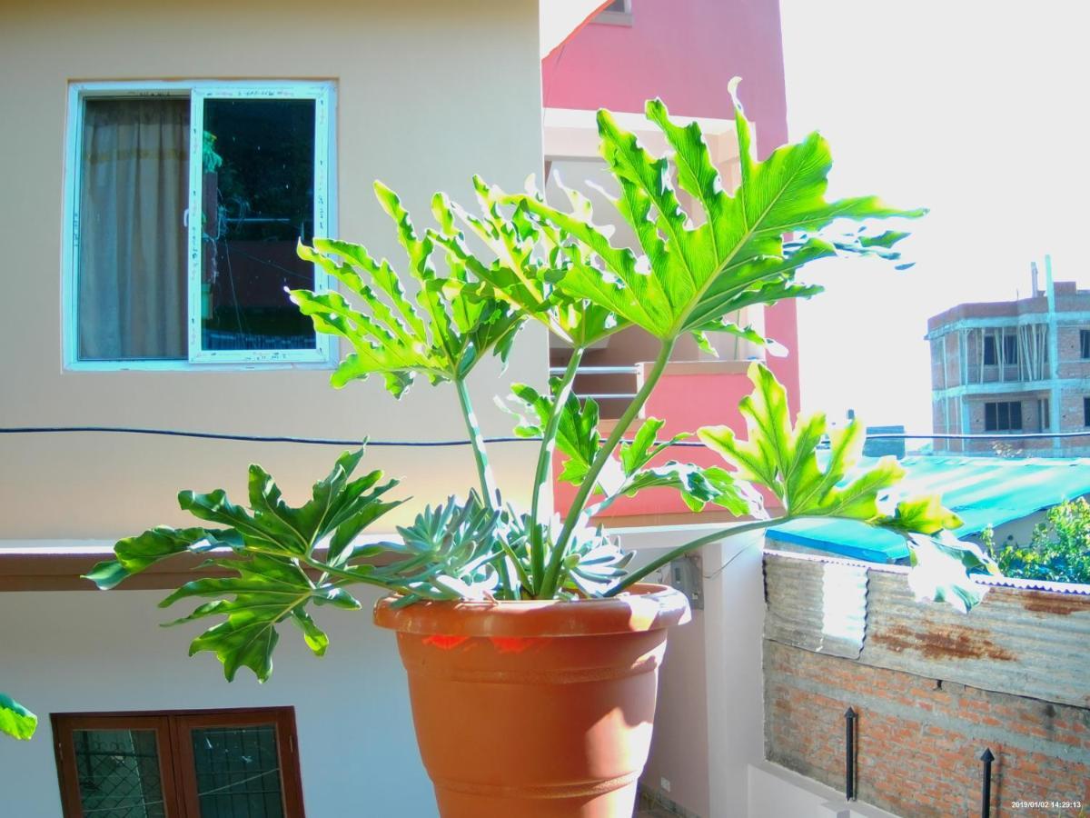 Everest Home Stay Apartment Lalitpur Exterior photo